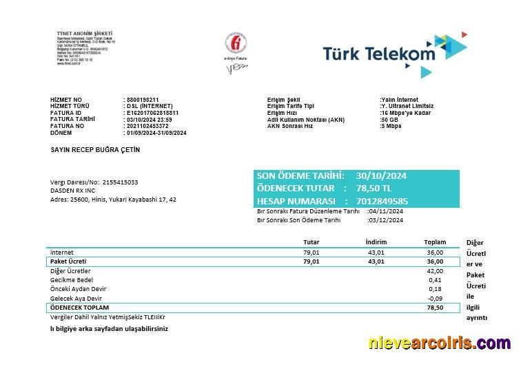 Turkey Turktelekom business utility bill
